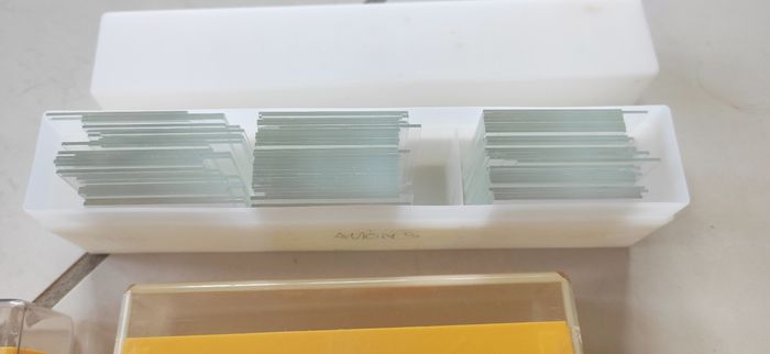 Lot diapositives - photo numéro 5