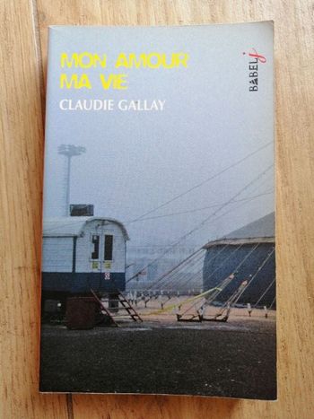Roman Mon amour ma vie de Claudie Gallay en bon état