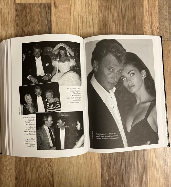 Beau livre relié-Johnny Hallyday-Autobiographie complète-Destroy - photo numéro 2