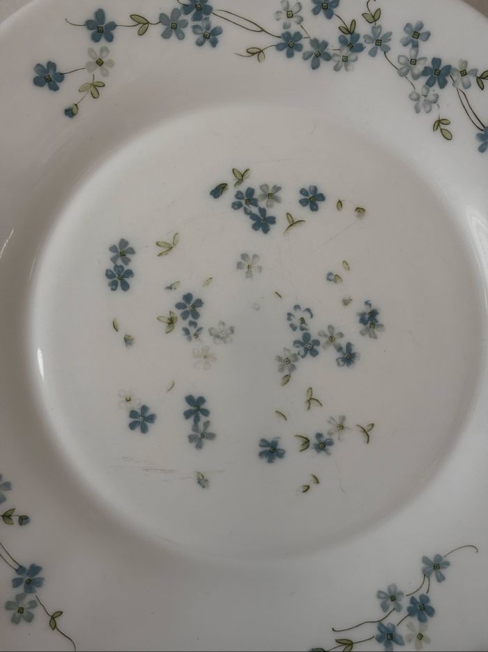 Vintage lot de 5 assiettes plates Arcopal véronica myosotis - photo numéro 5