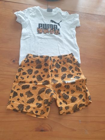 Ensemble puma