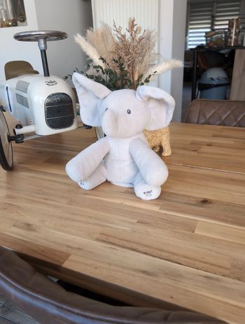 Éléphant qui chante