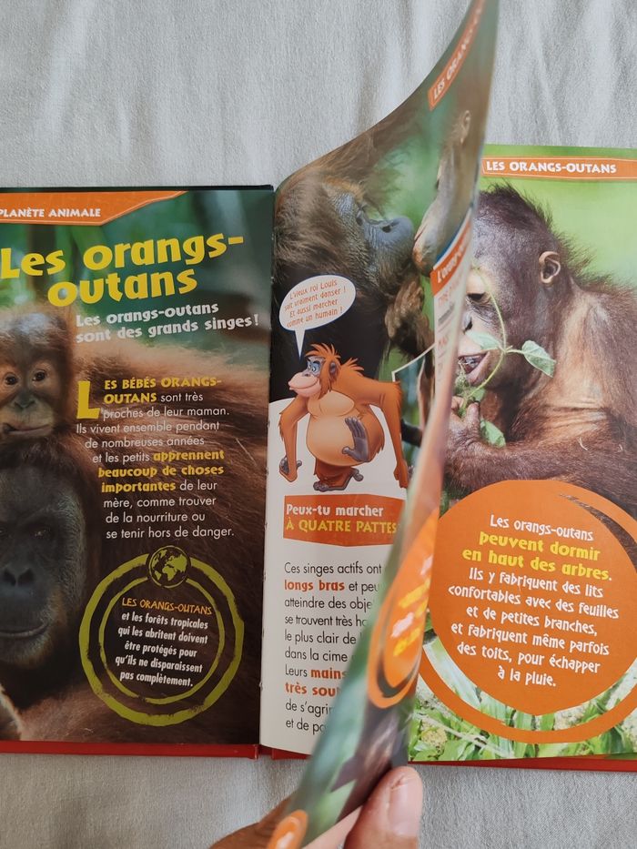 Disney nature kids - photo numéro 3
