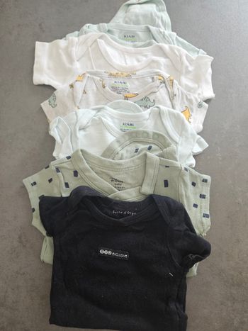 Lot de 6 bodies manche courte