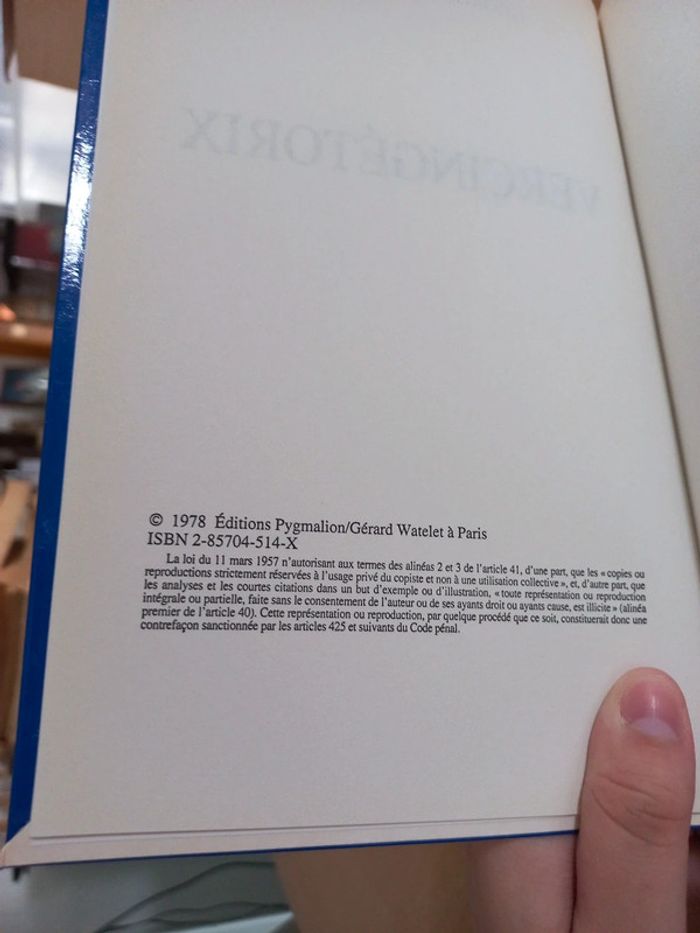 Vercingétorix - photo numéro 3