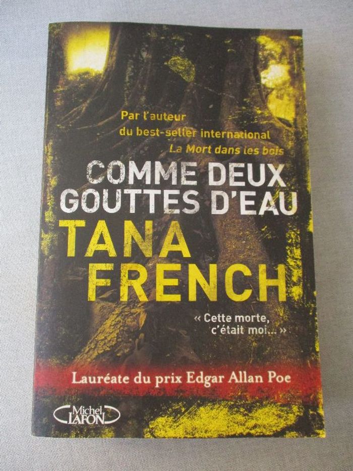 Comme deux gouttes d'eau de Tana French