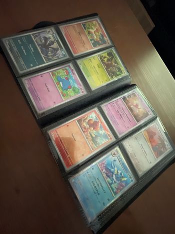 Classeur 160 cartes  Pokémon Holos Neuve