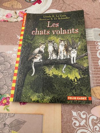 Livre enfant