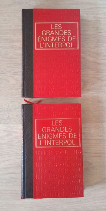 Les grandes énigmes de l'interpol