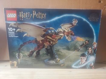 Lego HP 76406.
