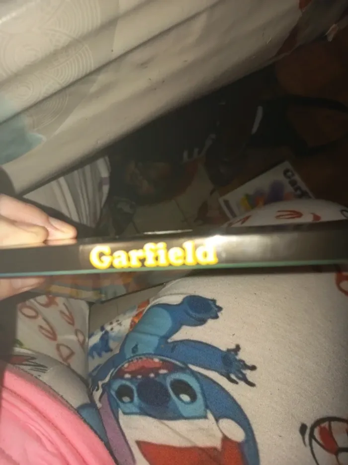 Garfield 33 - photo numéro 3