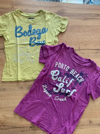 Lot 2 t-shirt manches courtes H&M garçon 3-4 ans