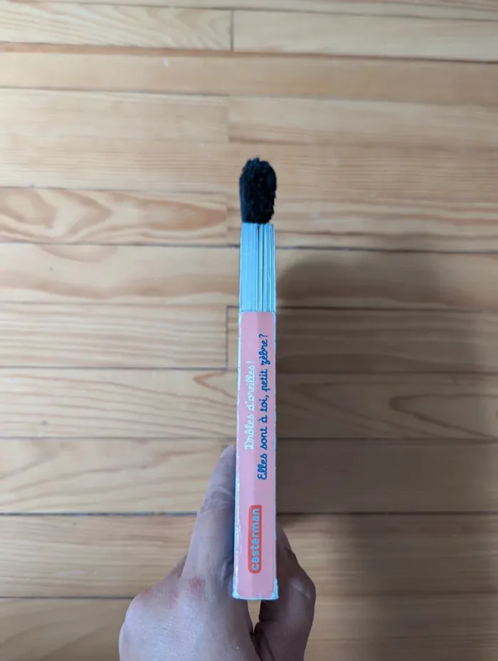 Livre drôles d'oreilles - photo numéro 6