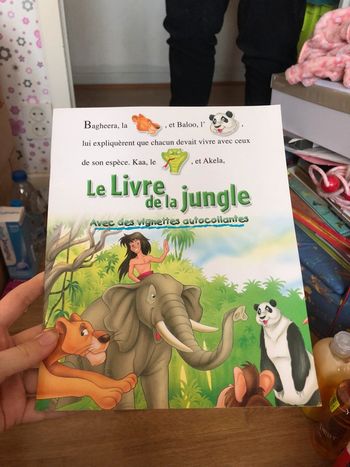 Lot de deux livres Cendrillon et Le livre de la Jungle.