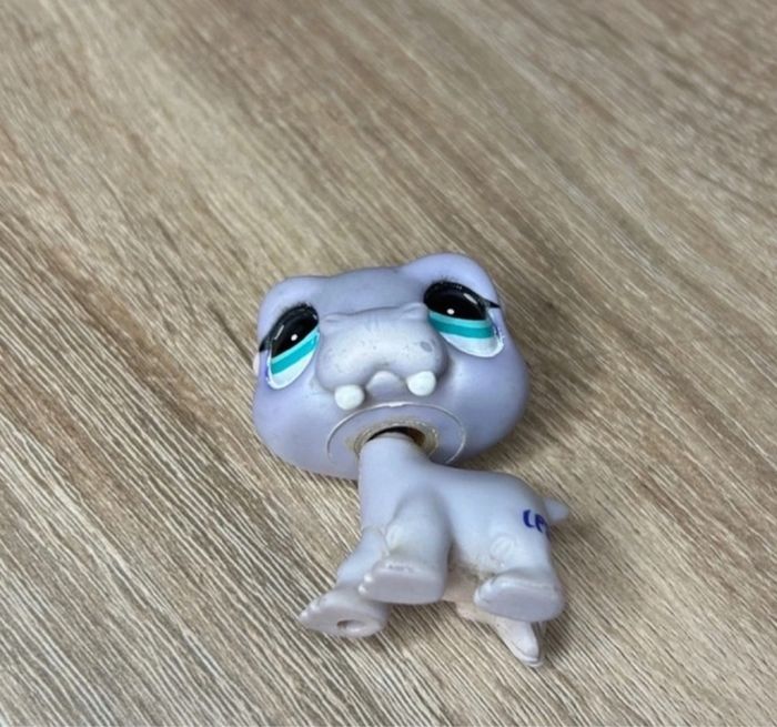 Petshop Hippopotame - photo numéro 2