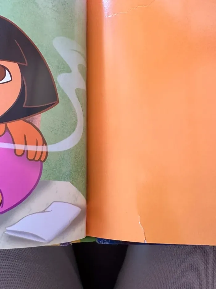Livre les belles histoires de dora - photo numéro 10