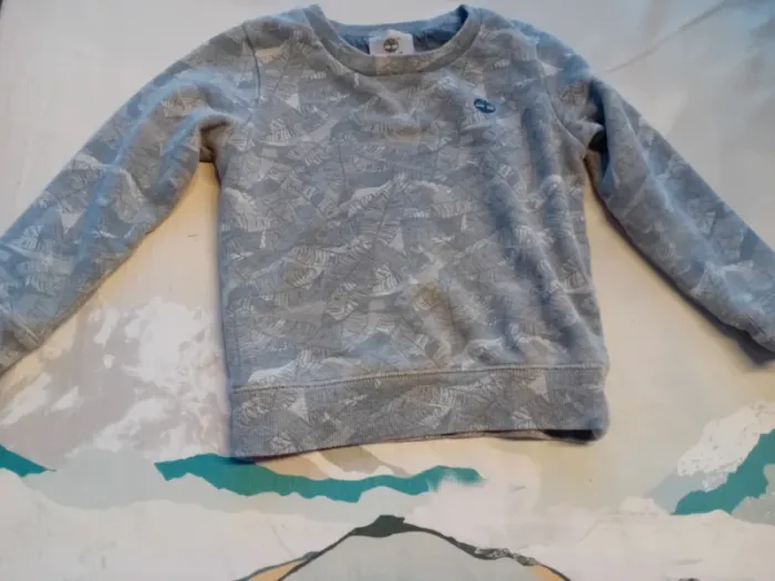 Sweat Timberland 4 ans - photo numéro 2