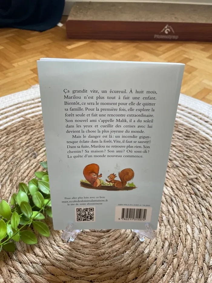 Livre - Marilou et le grand incendie - photo numéro 3