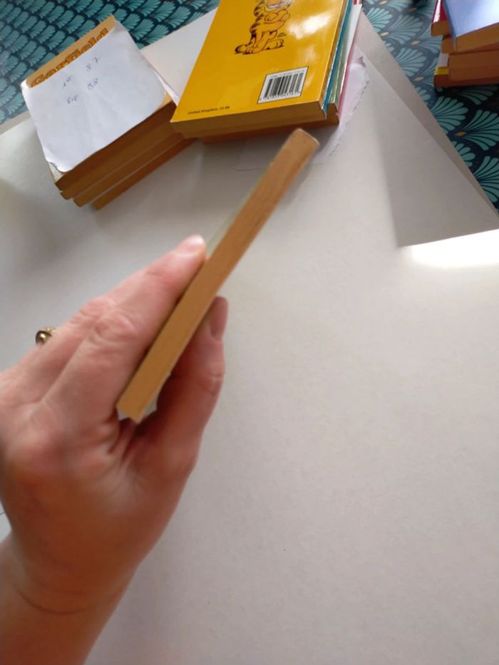 Garfield in training - photo numéro 6