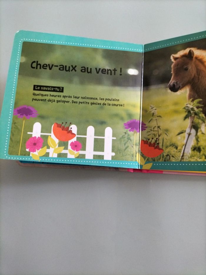 Bébés animaux de la ferme - photo numéro 6