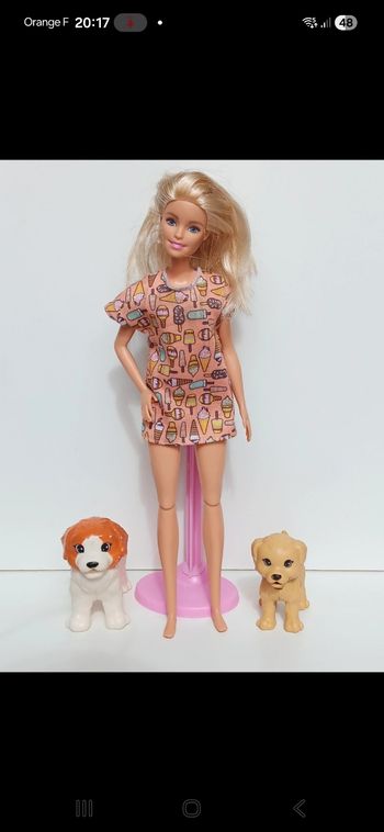 Poupée mattel Barbie Doggy Daycare Doll & Pets fxh08