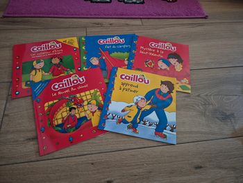 Lot 5 livres caillou