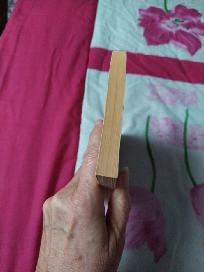 La rêveuse d'Ostende d'Eric-Emmanuel Schmitt - photo numéro 4