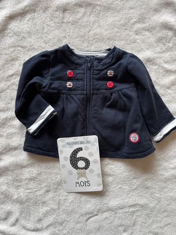Gilet zippés terre de marin