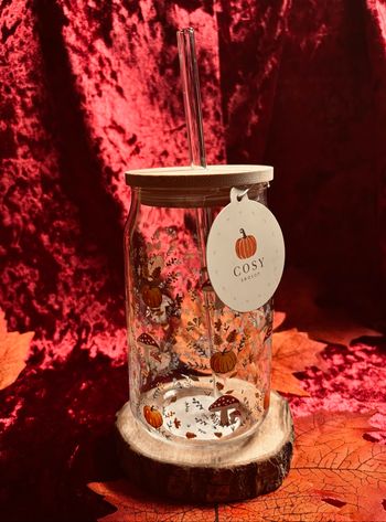 🍂 Verre cosy avec paille en verre