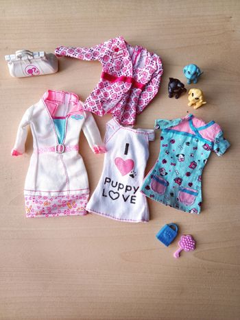Lot d'accessoires poupée Barbie docteur vétérinaire