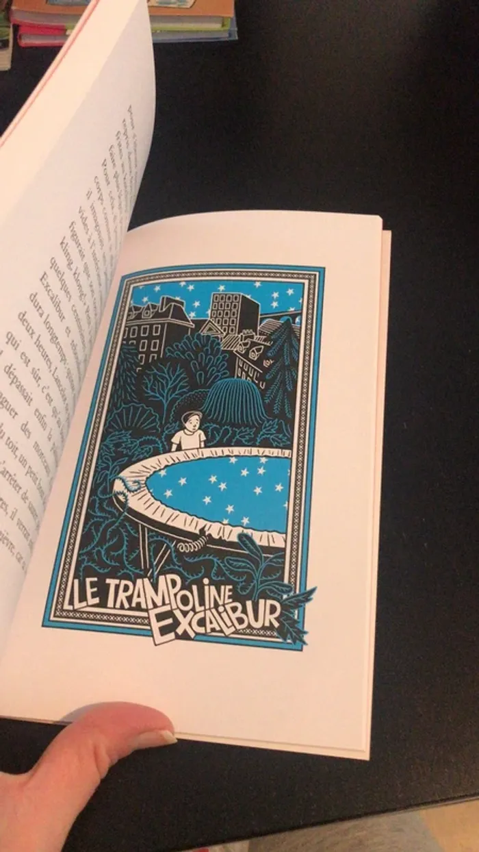 Roman illustré Lancelot dulac - photo numéro 3