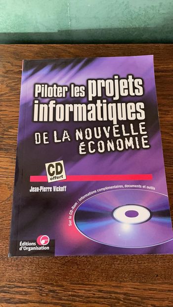 Piloter les projets informatiques de la nouvelle économie - Année 2000