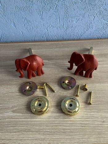 Paire embrasse éléphant