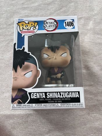 Funko pop demon slayer 1406