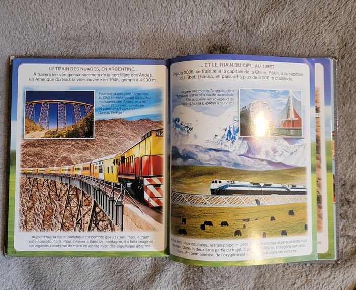 L'imagerie des trains - photo numéro 3