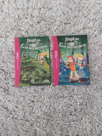 Roman/livre enfant bibliothèque rose "Sophie et la foret des ombres" Tomes 1 et 2