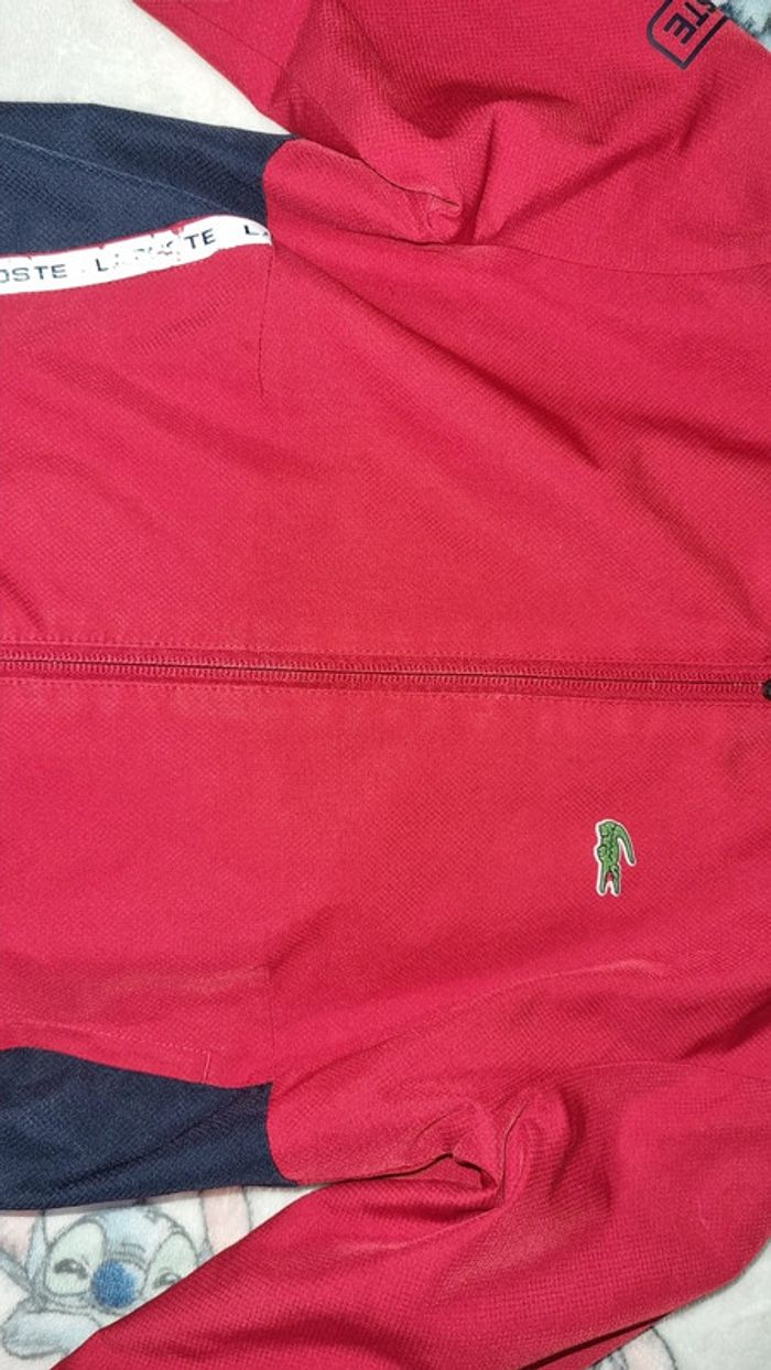 Veste lacoste 6 ans en bon état - photo numéro 5