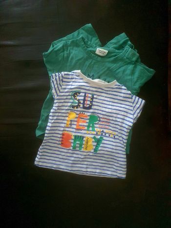 2 tee-shirts manches longues Garçon 12 mois