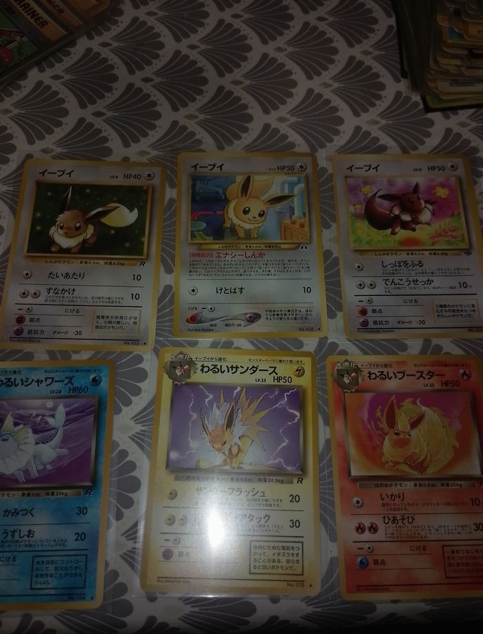 evolition - photo numéro 3