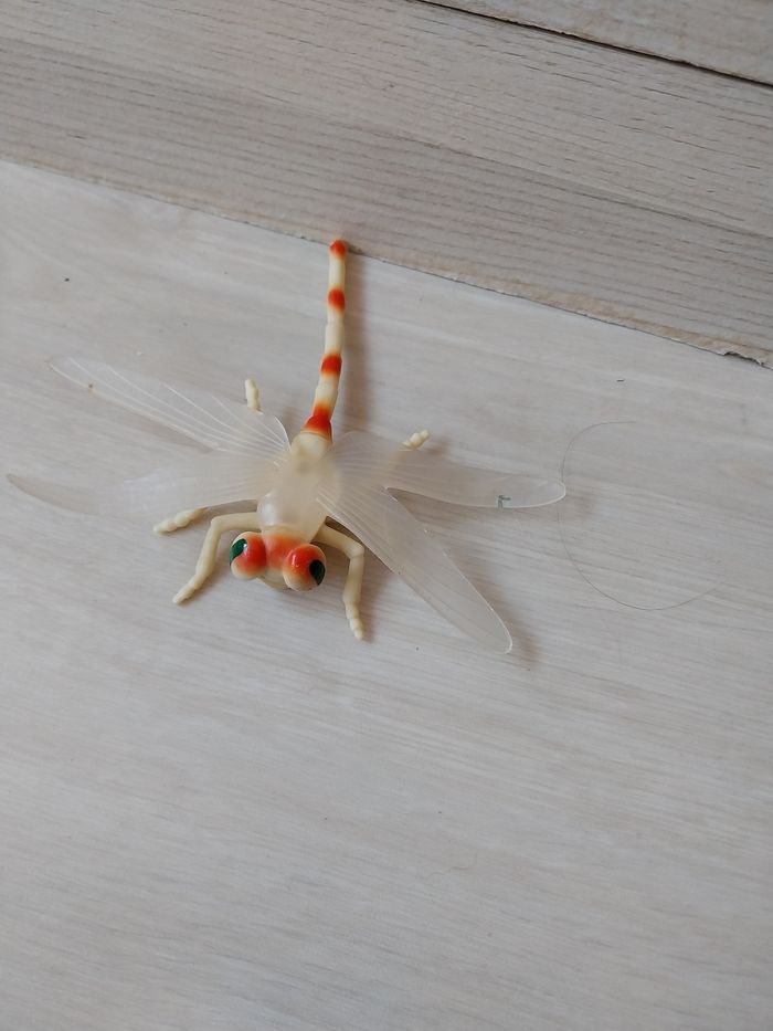 Lot insecte - photo numéro 7