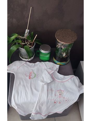 Lot de 2 bodies manches courtes 12 mois