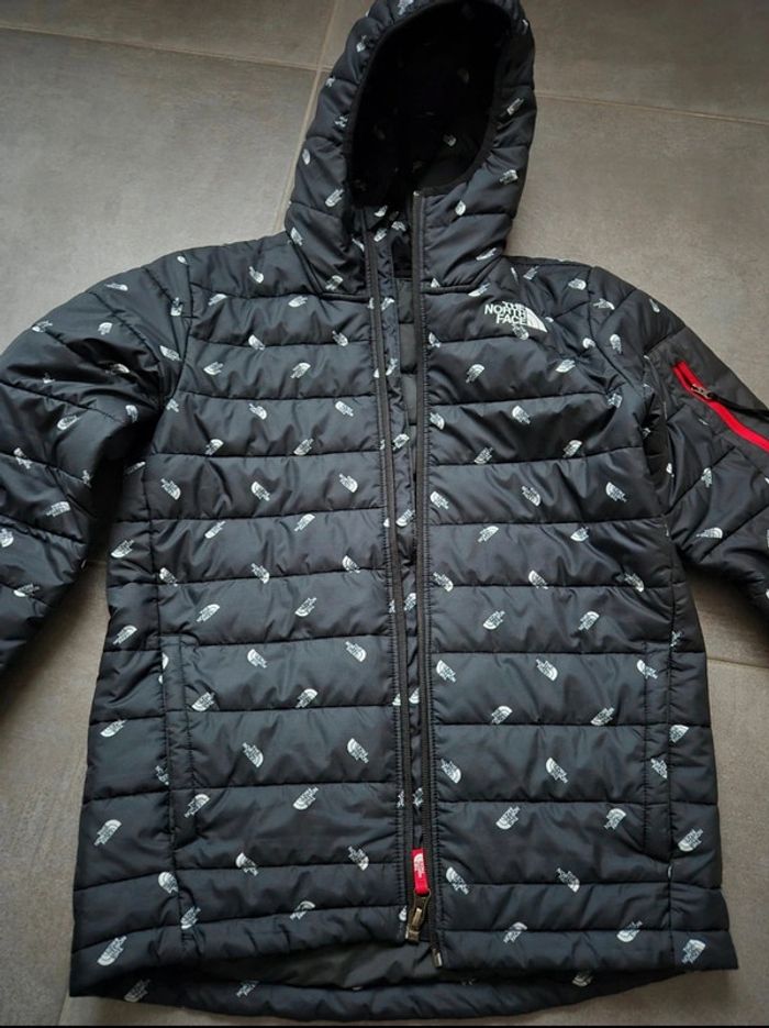 Veste the north face