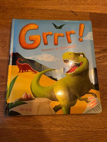 Livre Fleurus Grrr ! Histoires de dinosaures