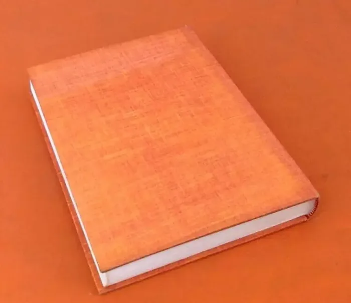 Rémy Compagnons de l' Honneur Illustrations de Michel Jouin (1967) - photo numéro 2