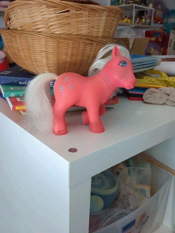 Poney