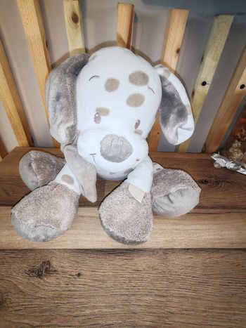 Chien nattou max et Noa beige et blanc