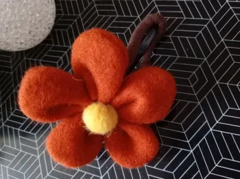 Pince à cheveux