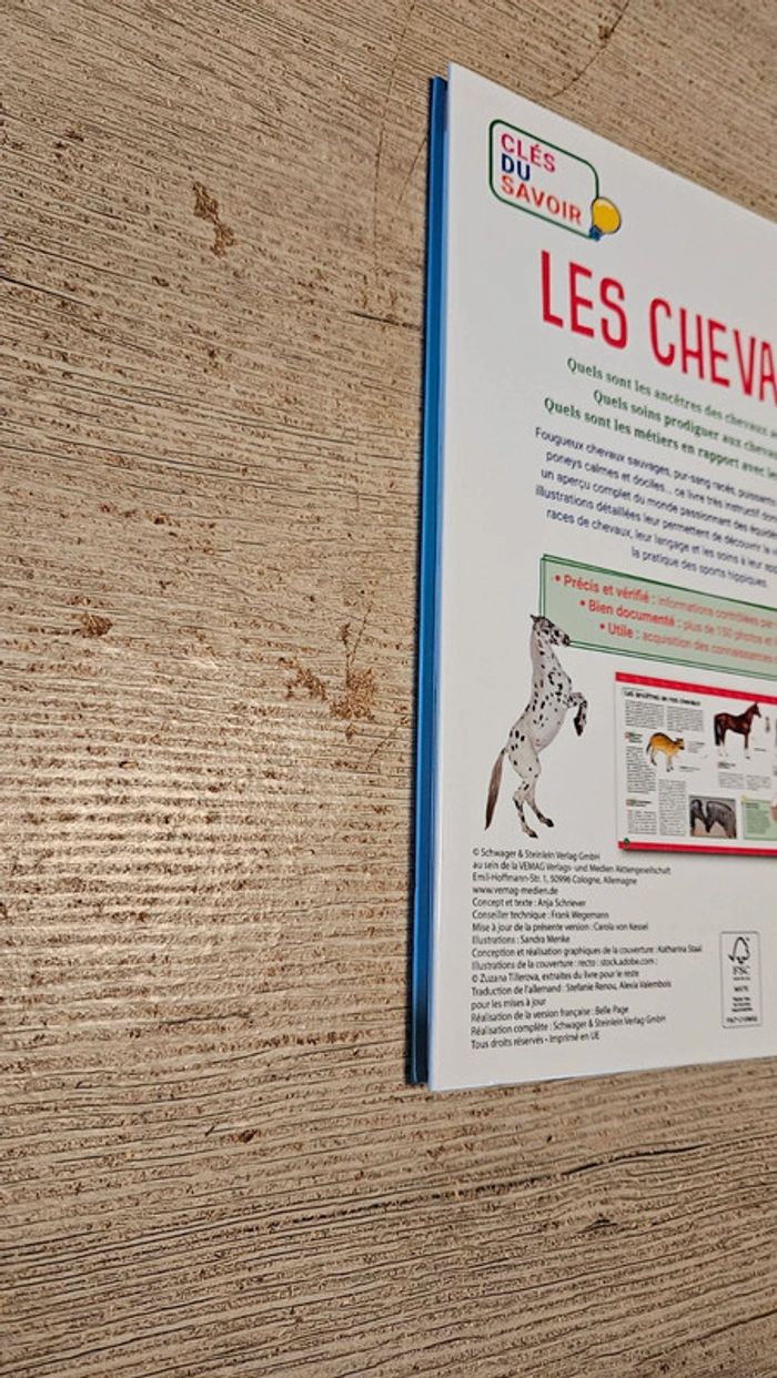 Livre illustré Les équidés, de A à Z, Clés du savoir, neuf - photo numéro 7