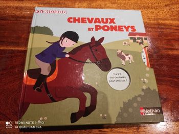 Livre chevaux et poneys