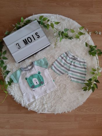 Ensemble ours 🐻